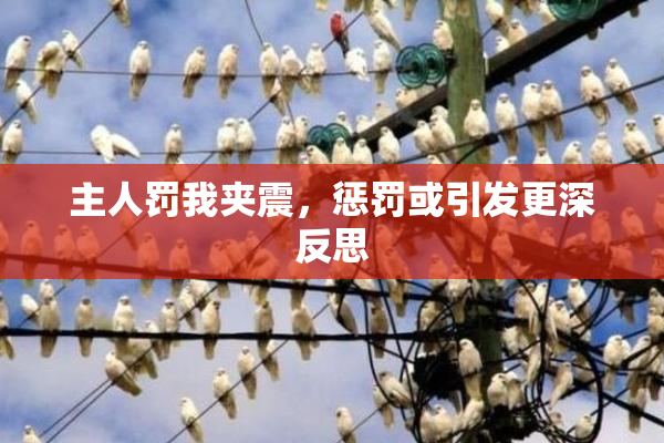 主人罚我夹震，惩罚或引发更深反思