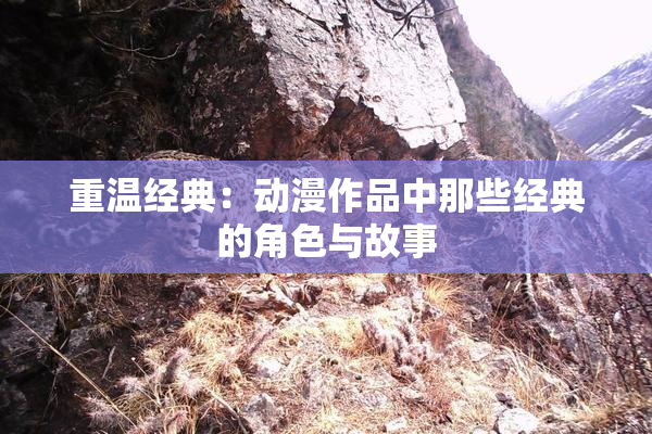 重温经典：动漫作品中那些经典的角色与故事