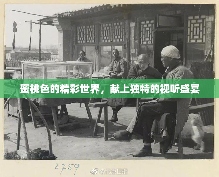 蜜桃色的精彩世界，献上独特的视听盛宴