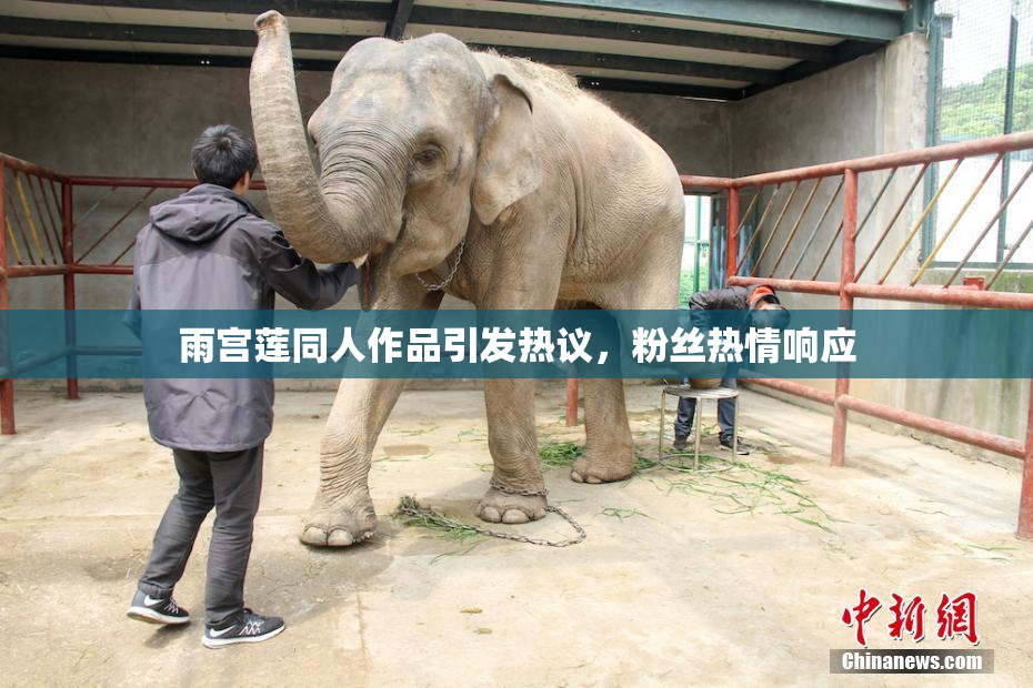 雨宫莲同人作品引发热议，粉丝热情响应