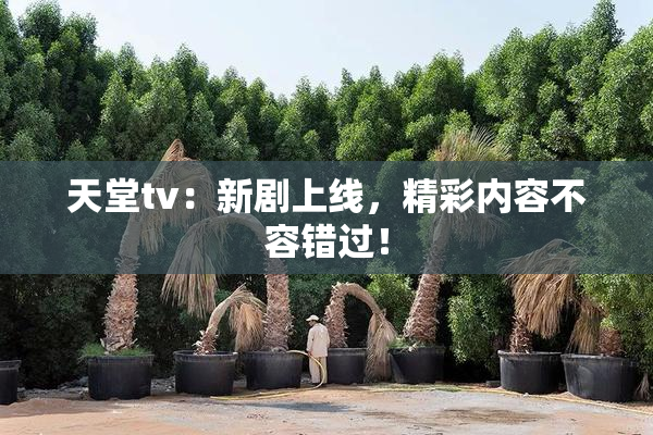 天堂tv：新剧上线，精彩内容不容错过！