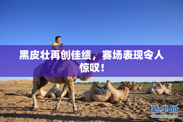 黑皮壮再创佳绩，赛场表现令人惊叹！