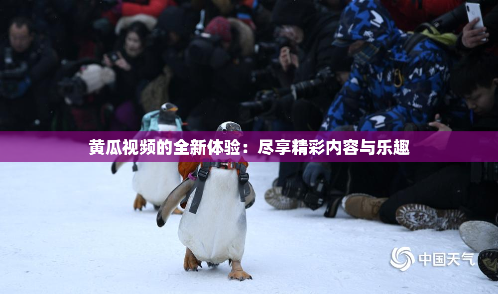 黄瓜视频的全新体验：尽享精彩内容与乐趣