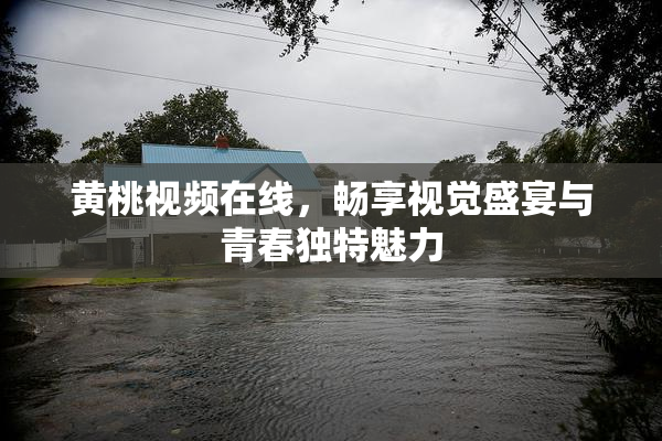 黄桃视频在线，畅享视觉盛宴与青春独特魅力