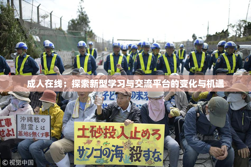 成人在线：探索新型学习与交流平台的变化与机遇