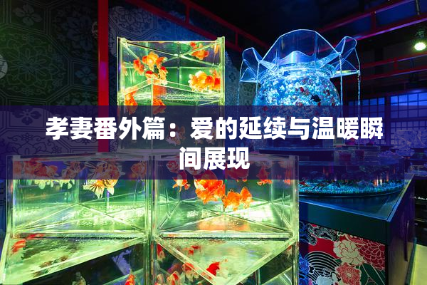 孝妻番外篇：爱的延续与温暖瞬间展现