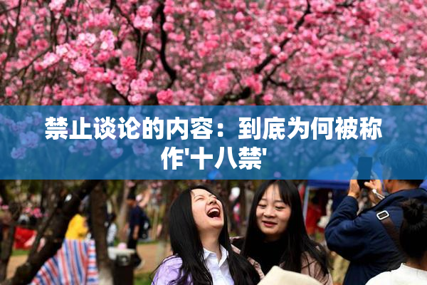 禁止谈论的内容：到底为何被称作'十八禁'