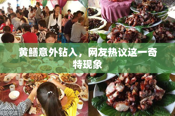 黄鳝意外钻入，网友热议这一奇特现象
