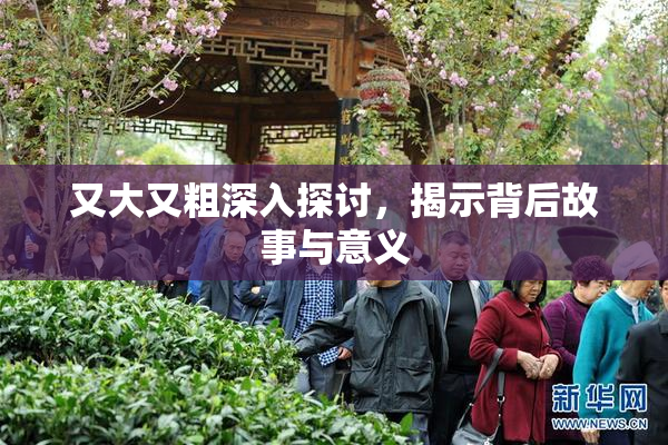 又大又粗深入探讨，揭示背后故事与意义