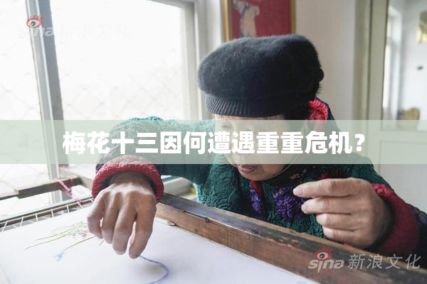 梅花十三因何遭遇重重危机？
