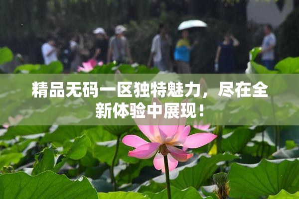 精品无码一区独特魅力，尽在全新体验中展现！