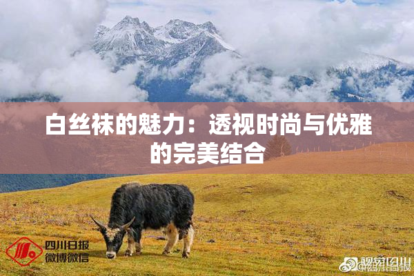 白丝袜的魅力：透视时尚与优雅的完美结合