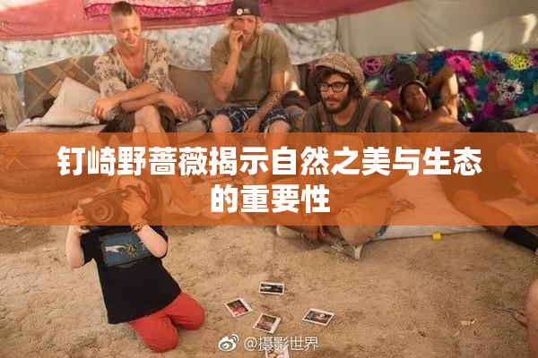 钉崎野蔷薇揭示自然之美与生态的重要性