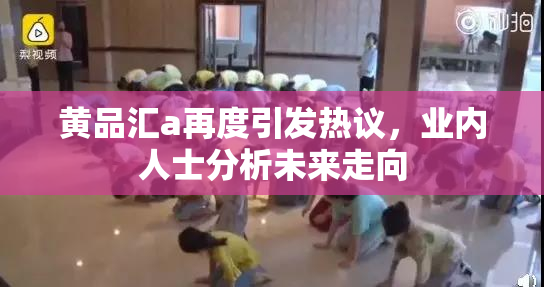 黄品汇a再度引发热议，业内人士分析未来走向