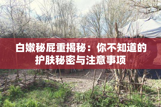 白嫩秘屁重揭秘：你不知道的护肤秘密与注意事项