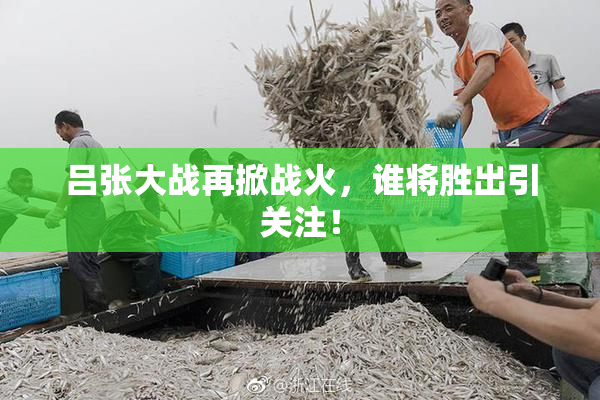 吕张大战再掀战火，谁将胜出引关注！
