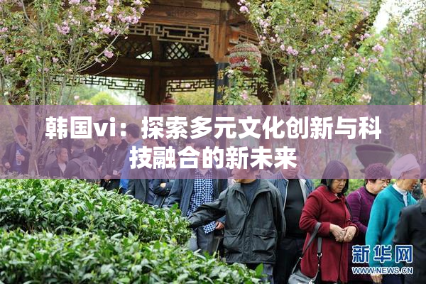 韩国vi：探索多元文化创新与科技融合的新未来