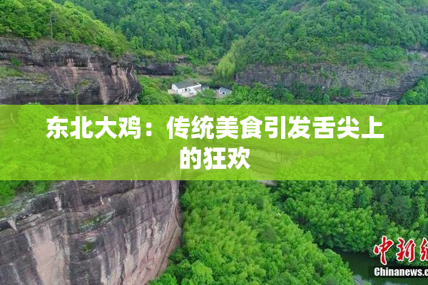 东北大鸡：传统美食引发舌尖上的狂欢