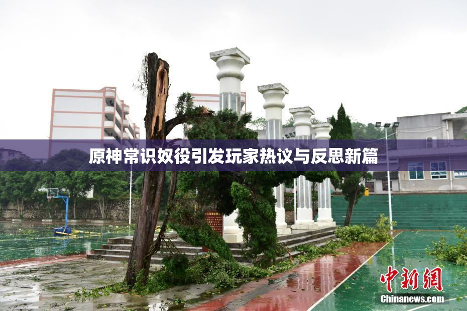 原神常识奴役引发玩家热议与反思新篇