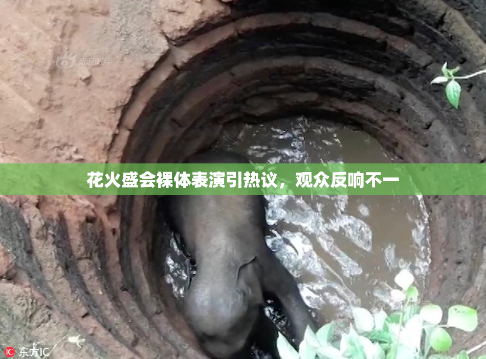 花火盛会裸体表演引热议，观众反响不一