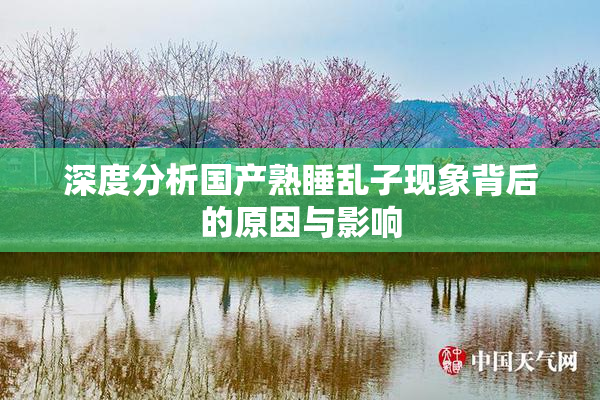深度分析国产熟睡乱子现象背后的原因与影响