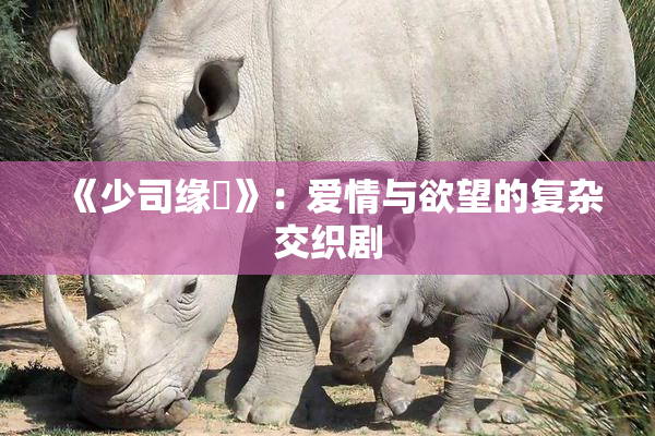 《少司缘婬》：爱情与欲望的复杂交织剧