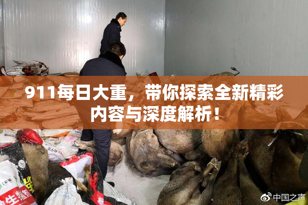 911每日大重，带你探索全新精彩内容与深度解析！