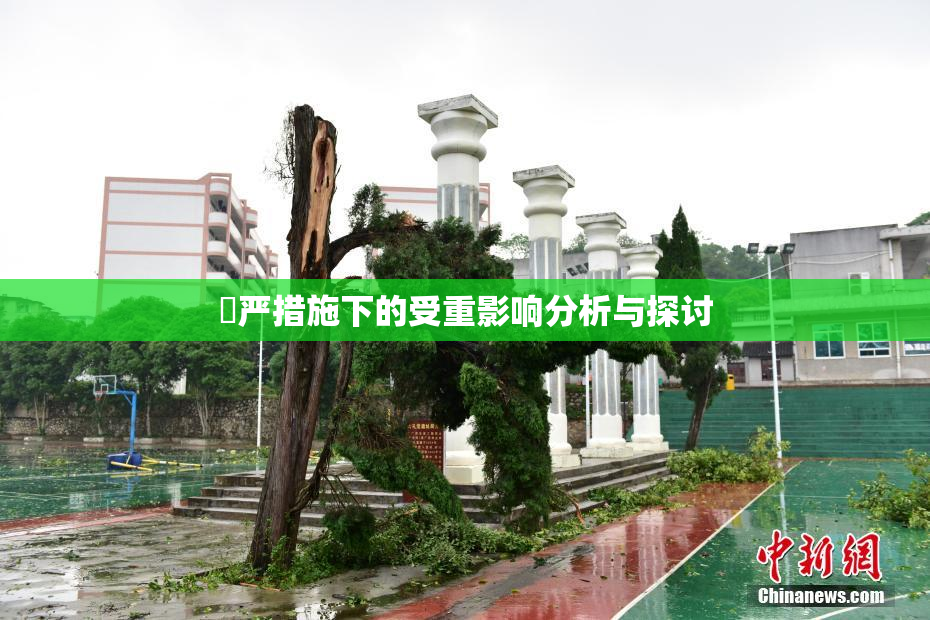 囯严措施下的受重影响分析与探讨