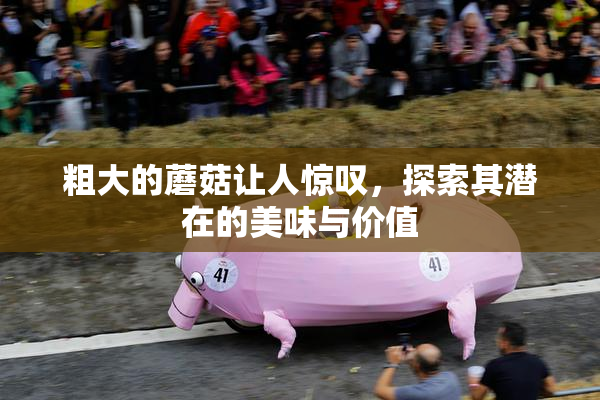粗大的蘑菇让人惊叹，探索其潜在的美味与价值