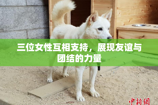 三位女性互相支持，展现友谊与团结的力量