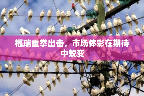 福瑞重拳出击，市场体彩在期待中蜕变