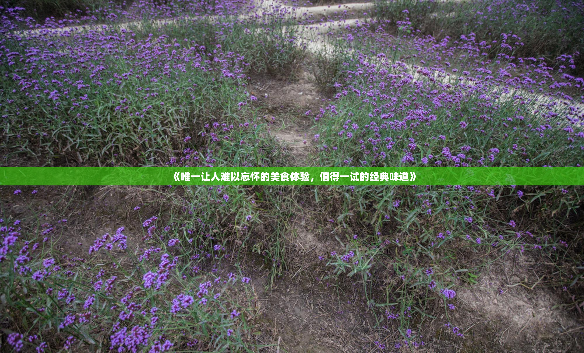 《唯一让人难以忘怀的美食体验，值得一试的经典味道》
