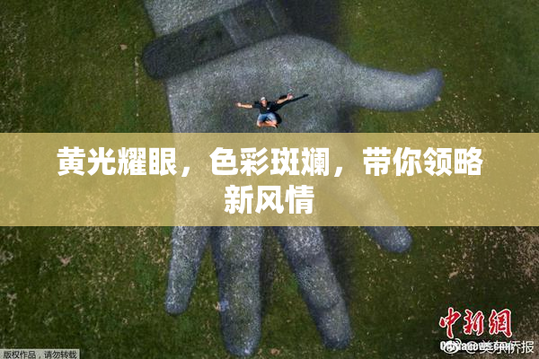 黄光耀眼，色彩斑斓，带你领略新风情