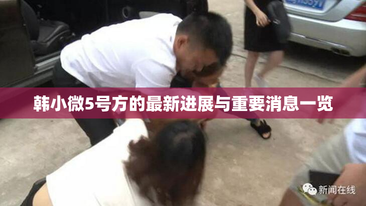 韩小微5号方的最新进展与重要消息一览