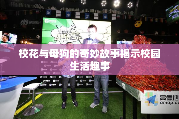 校花与母狗的奇妙故事揭示校园生活趣事