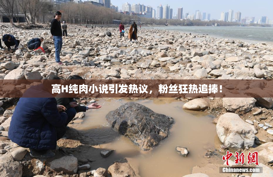 高H纯肉小说引发热议，粉丝狂热追捧！