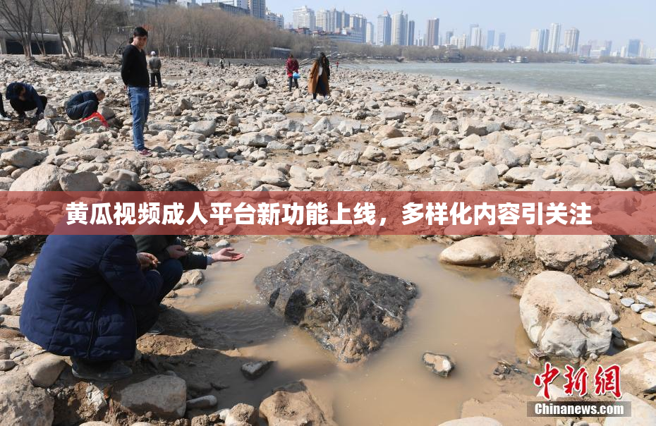 黄瓜视频成人平台新功能上线，多样化内容引关注