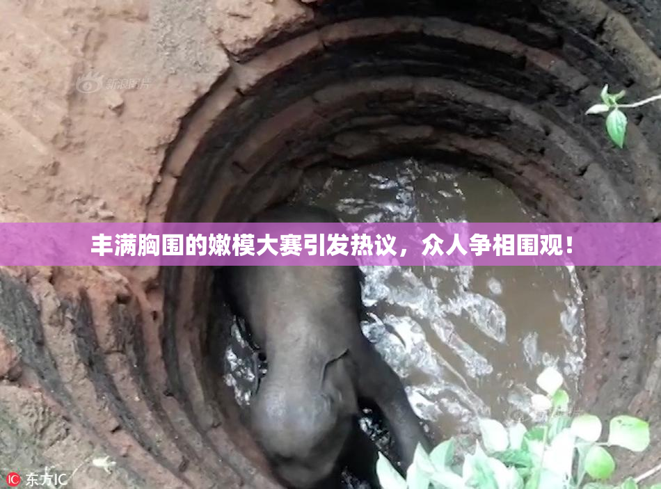 丰满胸围的嫩模大赛引发热议，众人争相围观！