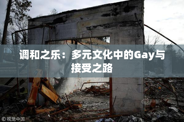调和之乐：多元文化中的Gay与接受之路
