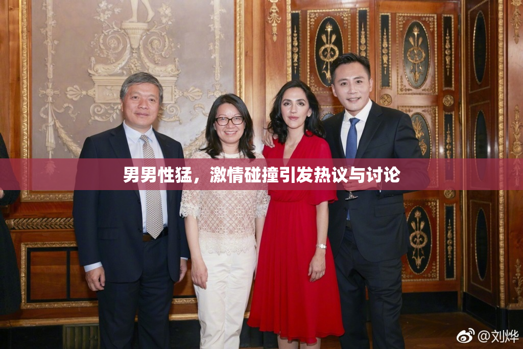 男男性猛，激情碰撞引发热议与讨论