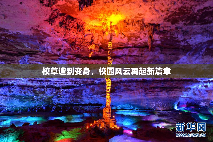 校草遭到变身，校园风云再起新篇章