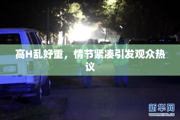 高H乱好重，情节紧凑引发观众热议