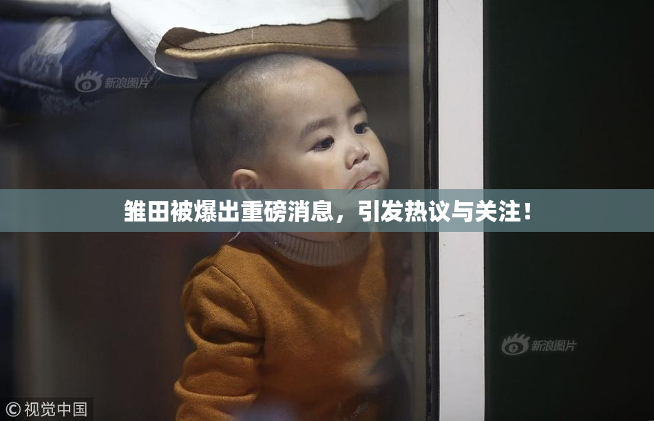 雏田被爆出重磅消息，引发热议与关注！