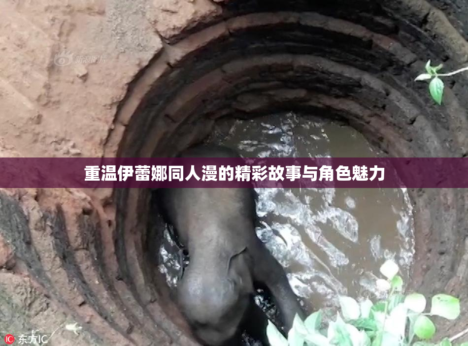 重温伊蕾娜同人漫的精彩故事与角色魅力