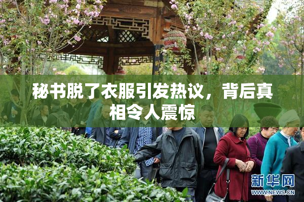 秘书脱了衣服引发热议，背后真相令人震惊