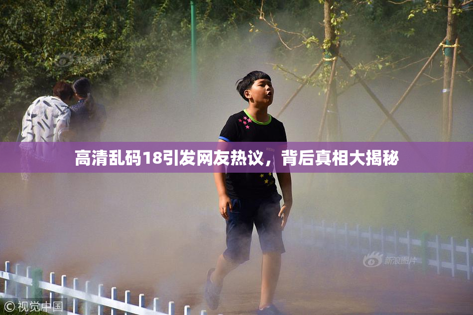 高清乱码18引发网友热议，背后真相大揭秘