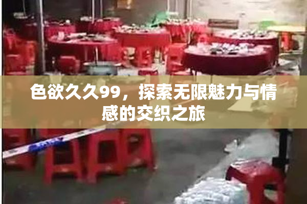 色欲久久99，探索无限魅力与情感的交织之旅