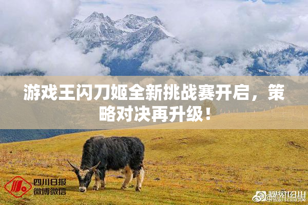 游戏王闪刀姬全新挑战赛开启，策略对决再升级！