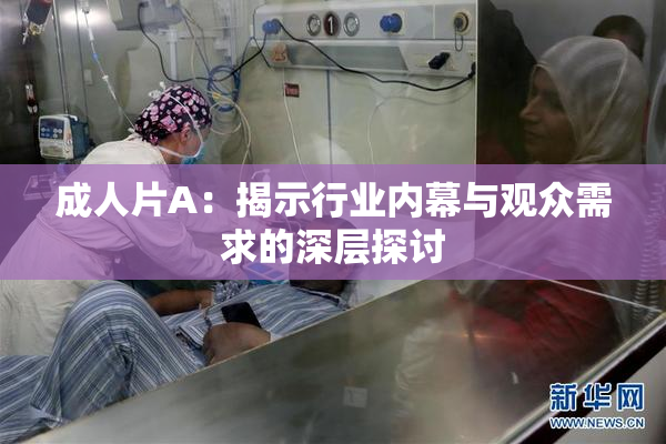 成人片A：揭示行业内幕与观众需求的深层探讨