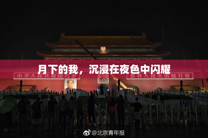 月下的我，沉浸在夜色中闪耀